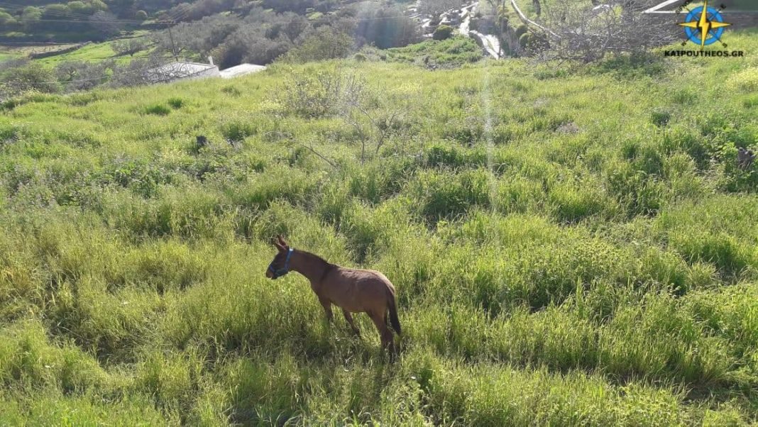 Η ΦΩΤΟΓΡΑΦΙΑ ΤΗΣ ΗΜΕΡΑΣ