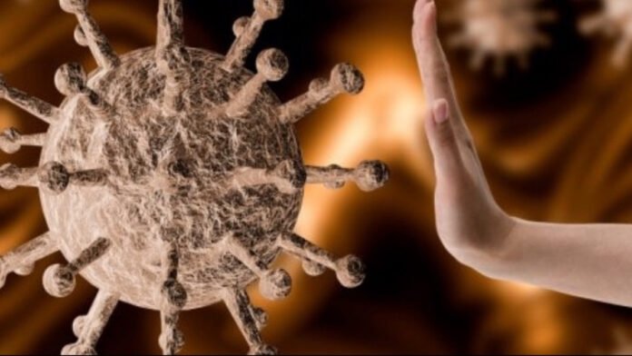 coronavirus_emvolio_ape