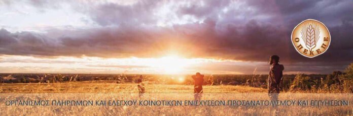 1270x420-towidth-90-opekepe-big-01