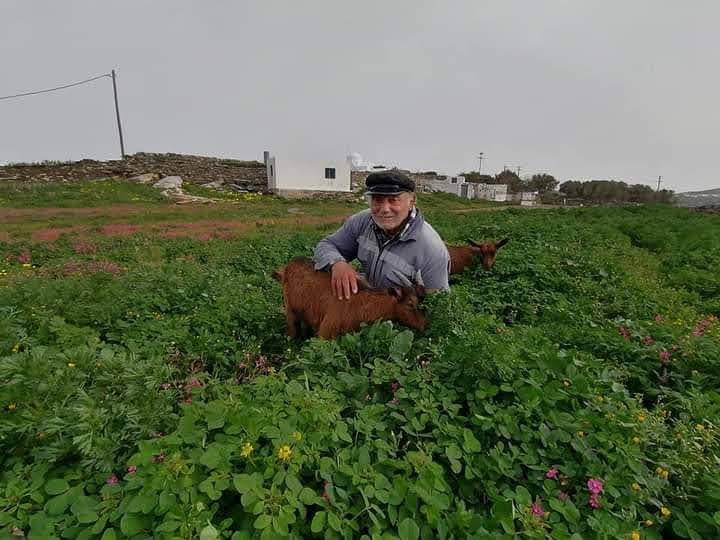 “Το τελευταίο ζεϊμπέκικο”-Φτωχαίνει κι άλλο η Σίφνος, έφυγε ο Γιάννης ο Τσόχος