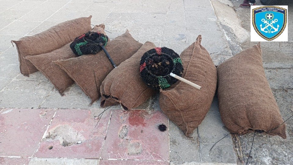 Είχαν αλιεύσει παράνομα 4500 τεμάχια αχινούς