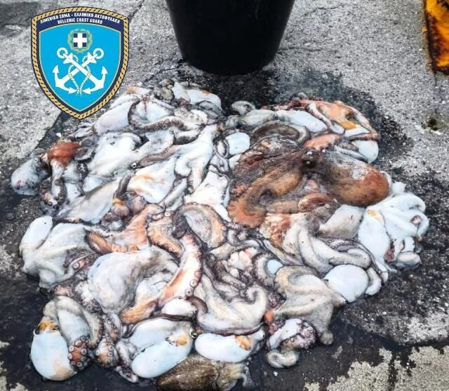 Είχε ψαρέψει 34 κιλά χταπόδια, το όριο είναι 5 κιλά