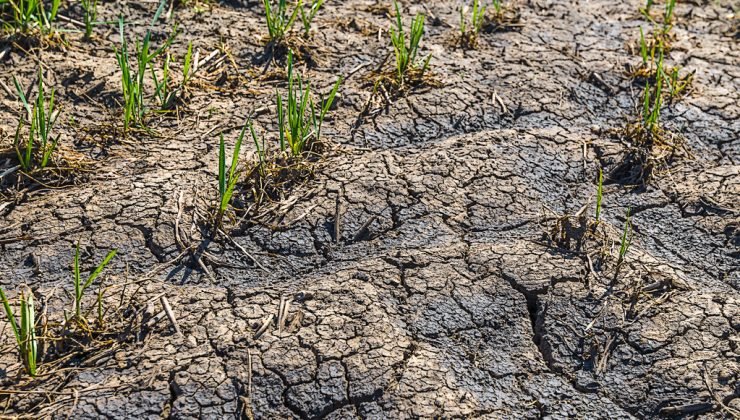 Οι βροχοπτώσεις του Δεκεμβρίου δεν ήταν αρκετές για την ξηρασία