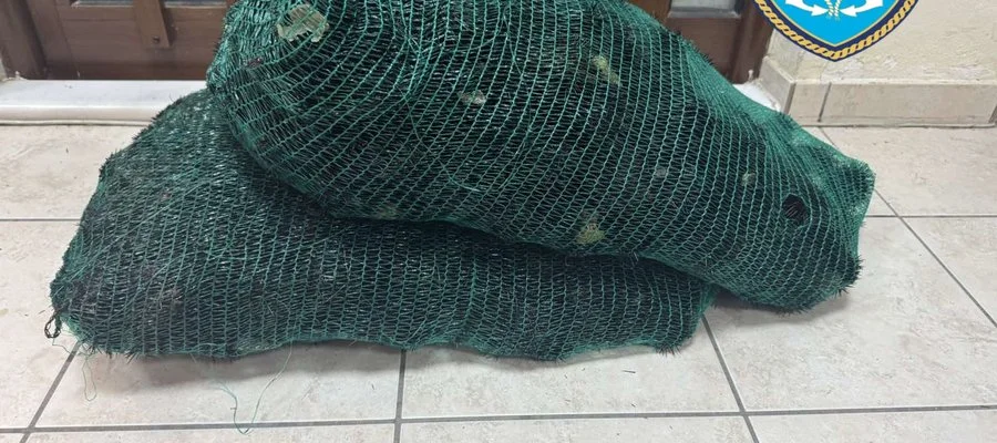 Είχε αλιεύσει 750 αχινούς ενώ επιτρέπονται 20