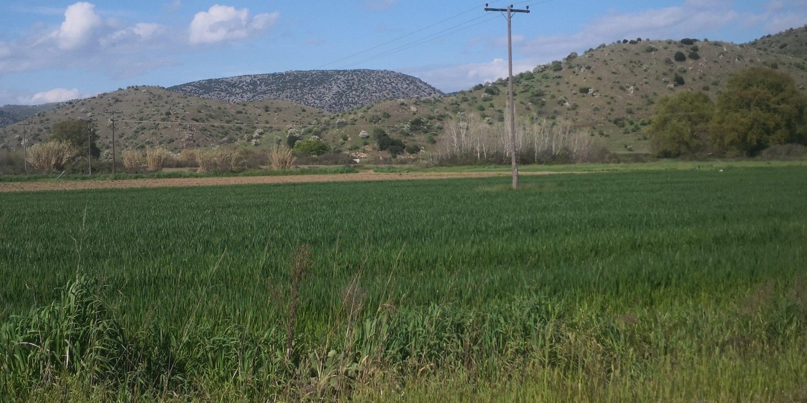 30-3-2026-KALLIERGEIES-scaled