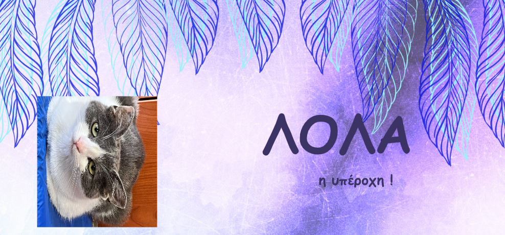 Η Λόλα δικαιούται μια οικογένεια που θα λατρέψει την υπέροχη αυτή τη γατούλα