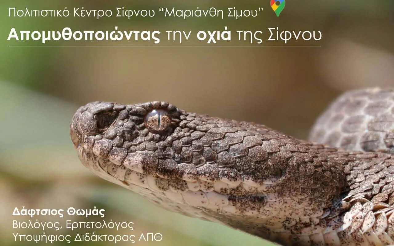 Σίφνος: Εκδήλωση για την οχιά της Σίφνου στο Πολιτιστικό Κέντρο – «Απομυθοποιώντας» ένα σπάνιο είδος