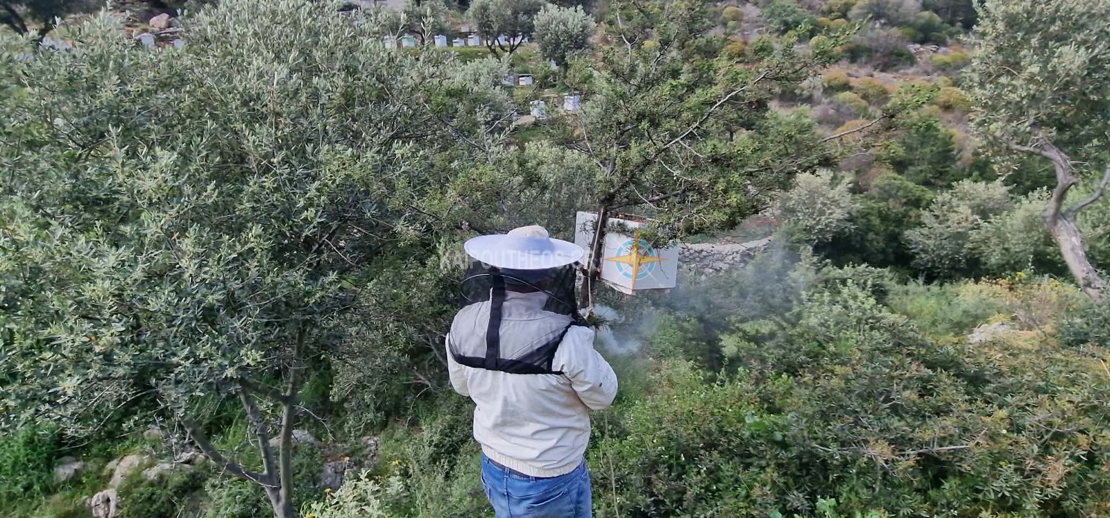 Σίφνος: Αυθεντική εμπειρία μελισσοκομίας, πιάσαμε αφεσμό, παλιά διψέλια, εργαλεία και πληροφορίες.Βίντεο